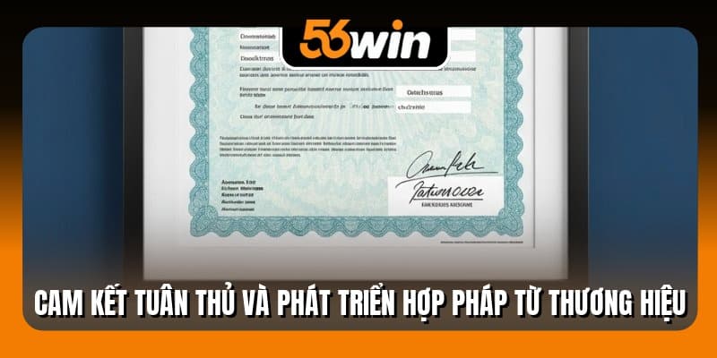 Cam kết tuân thủ và phát triển hợp pháp từ thương hiệu