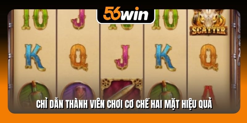 Chỉ dẫn thành viên chơi cơ chế hai mặt hiệu quả